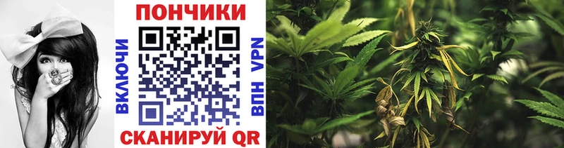 как найти закладки  Советск  Каннабис марихуана 